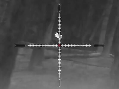 GoPro: 3 Russians killed + trophies.