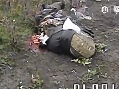 Dead Russians comp (November 21, 2025)