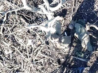 Dead Russians comp (November 22, 2025)