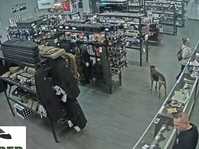 Woman tries to steal gun from survival store doesnt end well