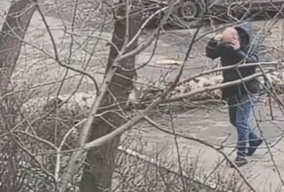 Woman Gets Bones Broken By Falling Tree