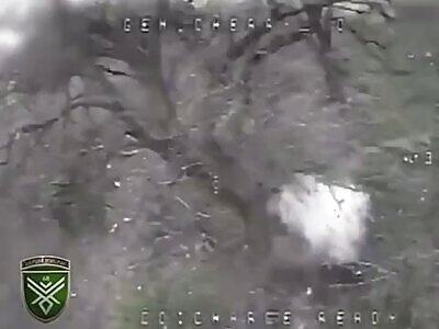 Ukrainian Drones Kill Another 7 Russians