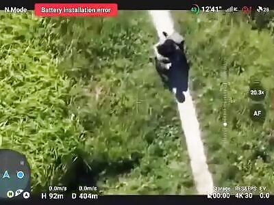 Stupid Junta Soldiers Killed