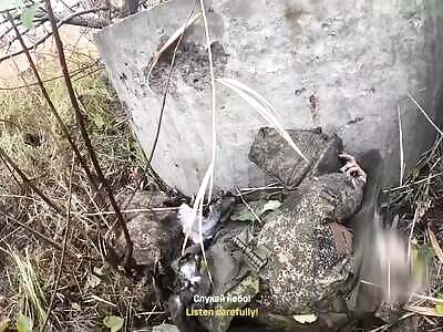 Ukraine Death Comp CXXV