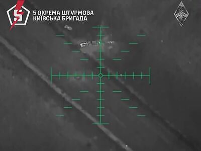 Ukrainians night hunting