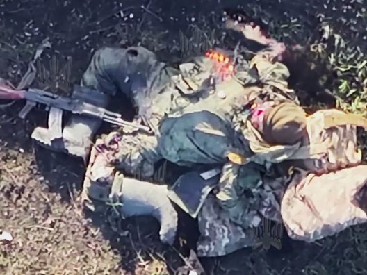 Damn! Russian Untermensch Bends to Human Swastika