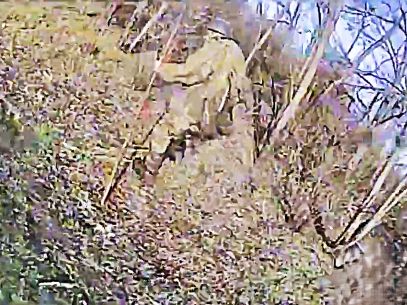 Compilation: Boom Boom Boom, Russian Bum!