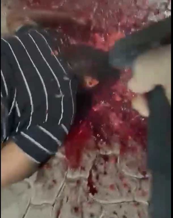 Brain Splattering Overkill 