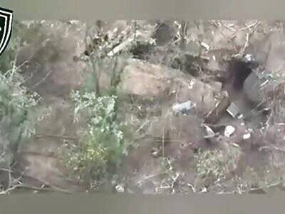 Executing 2 Surrendering Ukrainians