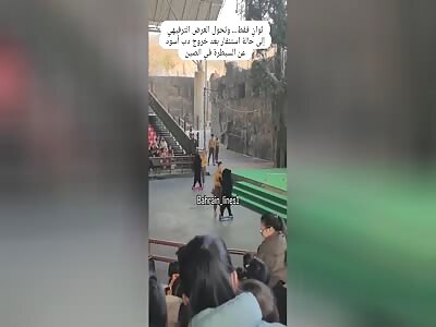 MAN BEING ATTACKED BY BEAR DURING SHOW