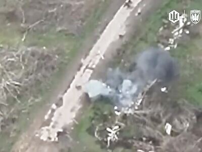 Good Russians comp (December 6, 2025)