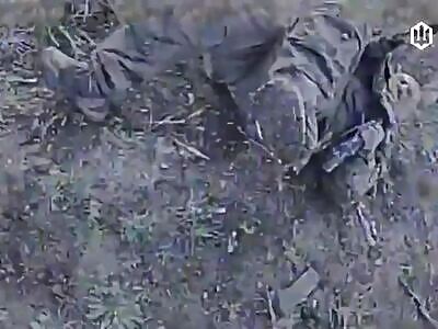 Good Russians comp (December 6, 2025)