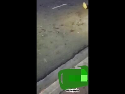 blood and meat spraying the asphalt like pulp from a crushed melon