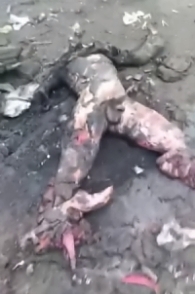 Who will clean up this mess?