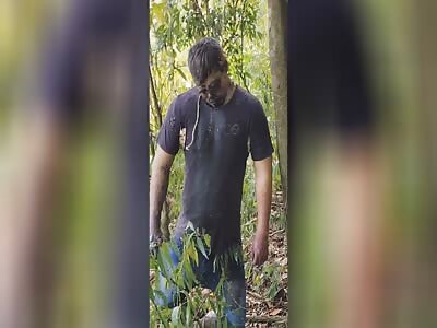 THE TREE OF THE HANGED