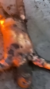 Take them away and let's get out!