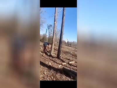 This is What You Get For Cutting Down A Tree