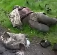 Killed soldiers and a pig's head, probably some symbolism...