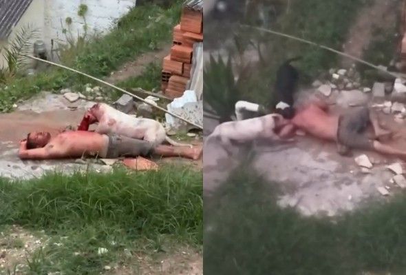 Man Mauled To Death By Angry Dogs
