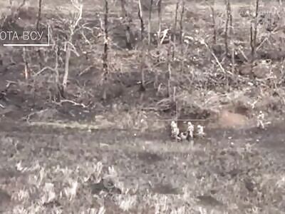 Ukrainian squad blown up by FPV