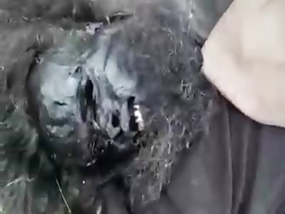Taliban Show Off Rotten Corpses Of ISIS That Were Killed In Clashes
