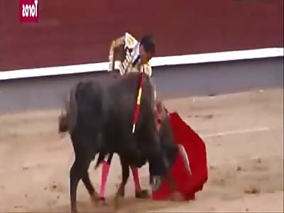 Bull killing man brutally 