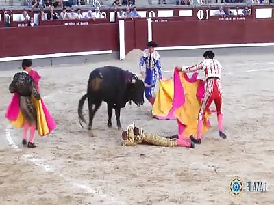 Bullfighter Hit by bull