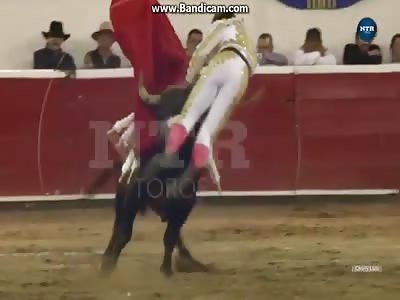 bulfighter hit by bull
