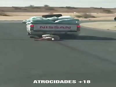 Shocking accident with camel