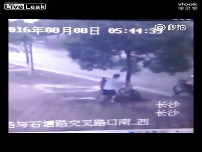 Man Saws Down Tree To Steal Bike