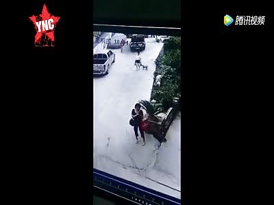 two women get crushed to death because of a dog