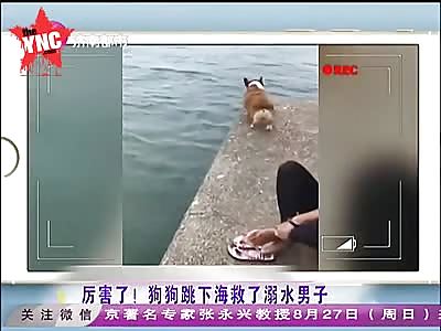 Dog saves his master from drowning  