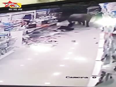 a buffalo ran into a small supermarket knocked a woman down in Jiangsu