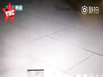 police chase horse in Pingshan County, Sichuan