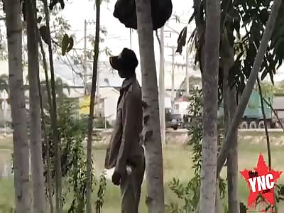 in Cambodia a farmer commits suicide by hanging in a tree