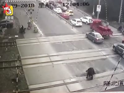 cow collided with a car in Ningbo