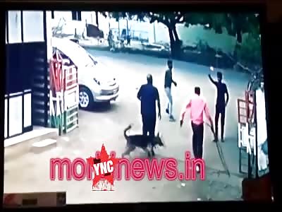Drunk man openly stabbing people in Morbi