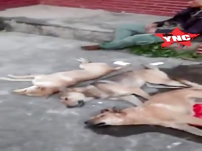 villagers made  dog thief killer suffer in Guangxi