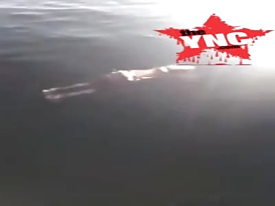 floating dead woman in Algeria