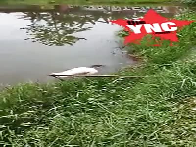 40-year-old dead man floating in Pondok Jagung Situ