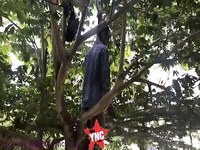 man hangs him self in Cambodia 