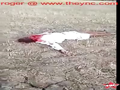 farmer murdered and his crops were burned  in Madhya Pradesh