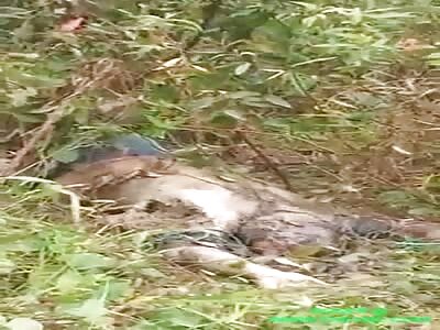 The discovery of a 45 year old dead body in South Sumatra  
