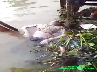 Floating dead body in Lampung