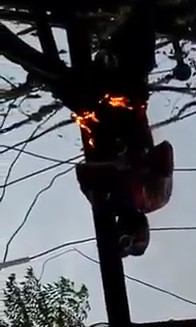 Worker Electrocuted / Burnt To Death On Electric Pole