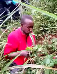 People Forced Thief Eating Grasses like an Animal.