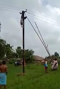 Lineman Died by Electric Current in India
