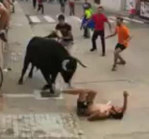 Bull's Revenge
