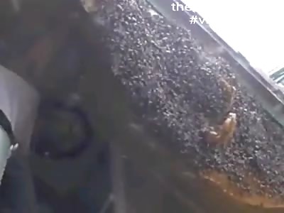 Man is able to take swarm of bees without protection