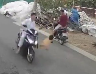 Little Kid Gets Run Over in Street by Speeding Biker (Two Angles)
